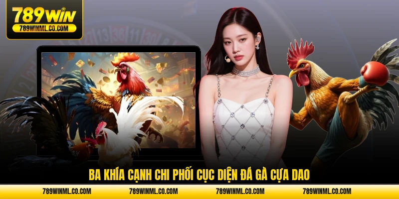 Ba khía cạnh chi phối cục diện đá gà cựa dao