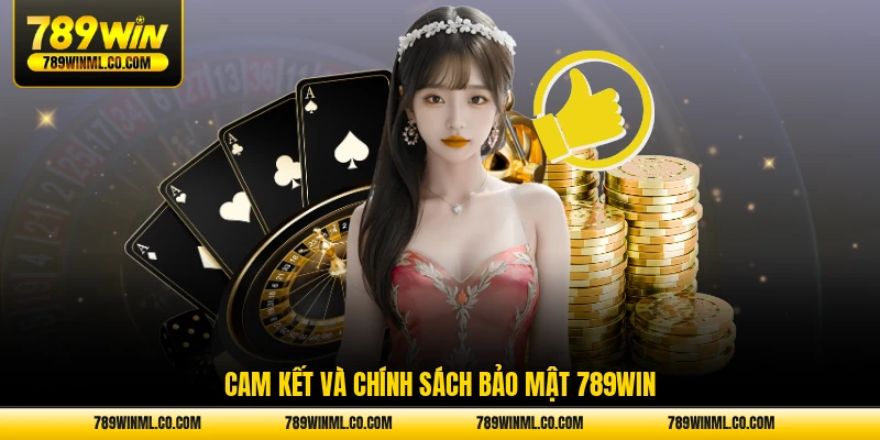 Cam kết và chính sách bảo mật 789WIN