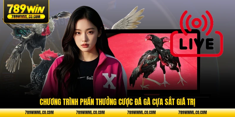 Chương trình phần thưởng cược đá gà cựa sắt giá trị