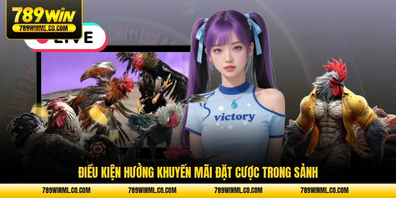 Điều kiện hưởng khuyến mãi đặt cược trong sảnh