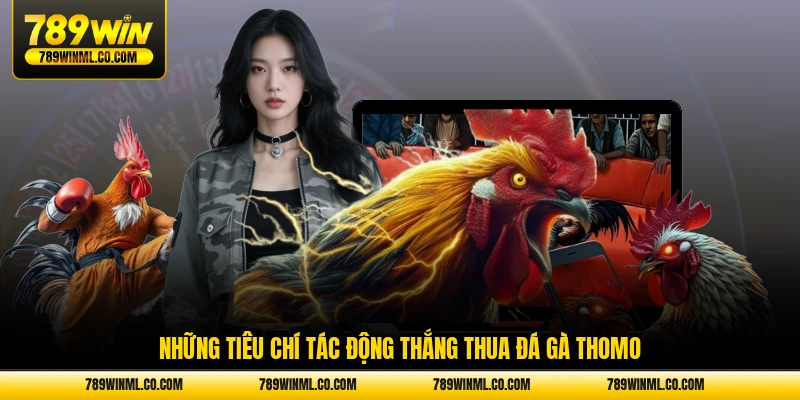Những tiêu chí tác động thắng thua đá gà Thomo